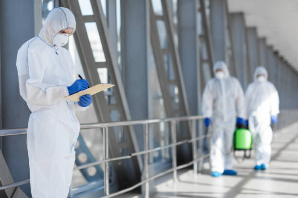 Best Asbestos and Lead Testing During Mold Inspection  in Montrose, NY