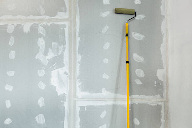 Best Mold-Related Health Consultation  in Montrose, NY