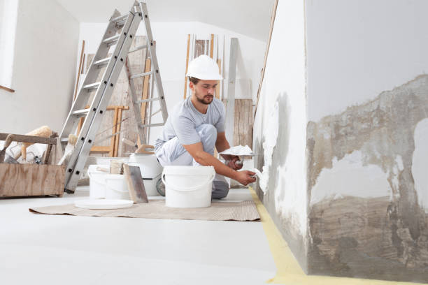 Best Post-Construction Mold Inspection  in Montrose, NY