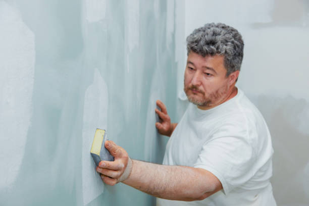 Trusted Montrose, NY Mold Removal Experts