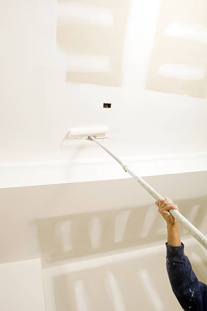 Best Water Damage & Mold Remediation  in Montrose, NY